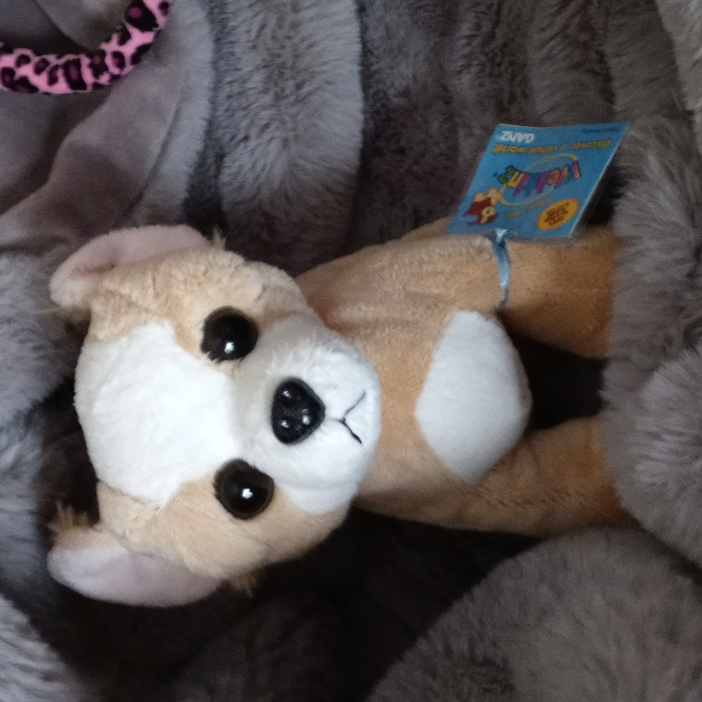 Webkinz chihuahua in pink purse - Picture 4 of 12